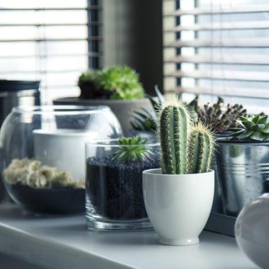 Kunstplanten op een houten plank in een woonkamer naast een echte potplant