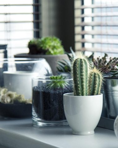 Kunstplanten op een houten plank in een woonkamer naast een echte potplant