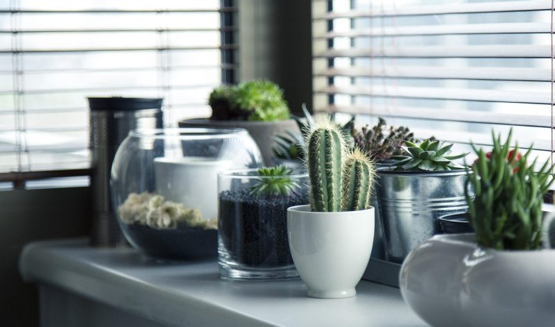 Kunstplanten op een houten plank in een woonkamer naast een echte potplant