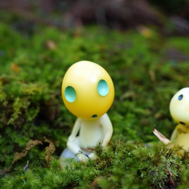 Sprookjesachtige kindertuin met kabouters en mos tussen stapstenen