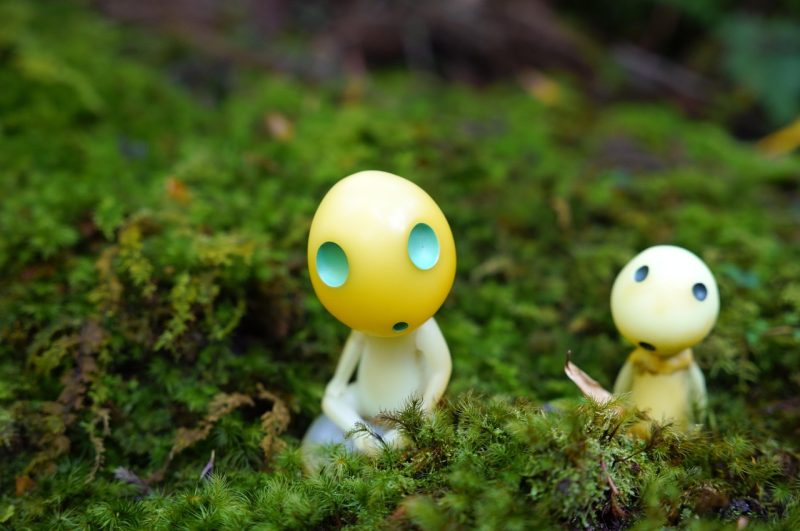 Sprookjesachtige kindertuin met kabouters en mos tussen stapstenen