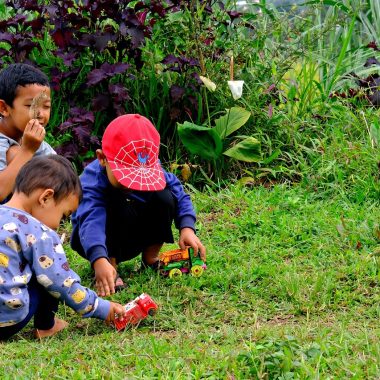 Kinderen spelen op een lichtkleurig houten speeltoestel in een groene tuin