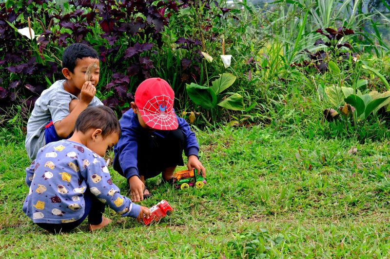 Kinderen spelen op een lichtkleurig houten speeltoestel in een groene tuin